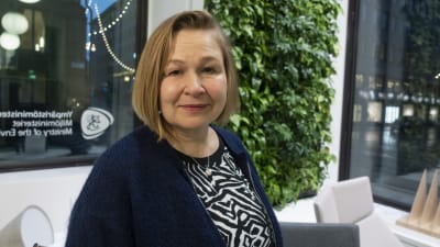 Outi Honkatukia, ilmastoasioiden päätutkija ympäristöministeriö
