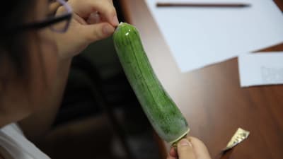 En person trär på en kondom på en gurka.
