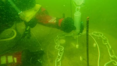 Bild av dykare som tar vattenprov under havsytan. 