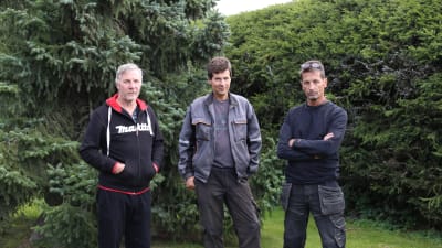 Jouko Liinamaa, Bo Norrbäck och Johan Skog lider av flugor från farmområdet