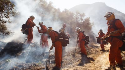 Brandmän gräver i mark i en rykande sluttning.