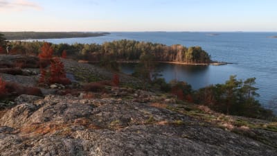 Utsikt från Glasberget mot en öppen fjärd, skärgård och blått hav.