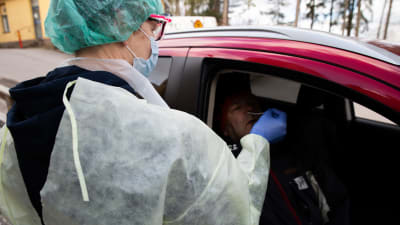 En skötare i skyddskläder sticker in en provtagningssticka i näsan på en man som sitter i en bil.