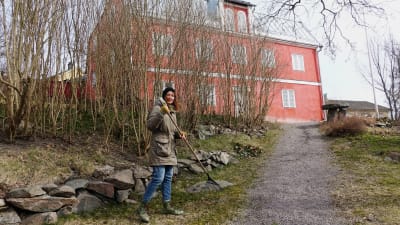 Mikaela Westerlund krattar löv utanför diktarhemmet i Borgå.