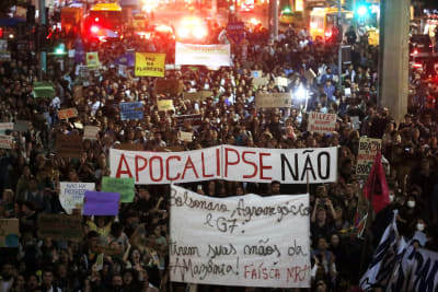 Tusentals människor tog till gatorna Rio De Janeiro för att protestera mot förstörelsen i  Amazonas regnskog.