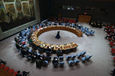 FN:s säkerhetsråd möttes i New York.