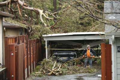 En man röjer bort träd som fallit vid ett garage.