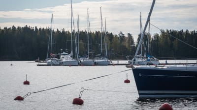 I bakgrunden skymtar en brygga med flera förtöjda båtar, i förgrunden bojar som guppar i vattnet och en förtöjd segelbåt