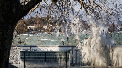Istäckt bänk vid Genèvesjön, Schweiz. 