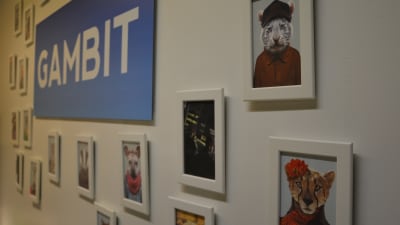 I företaget Gambits aula hänger en vägg med djurporträtt.