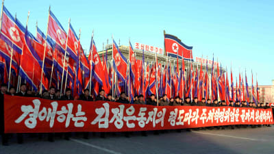 Officiell manifestation i Pyongyang.