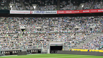 Borussia Mönchengladbachs kartongåskådare placerade på läktare.