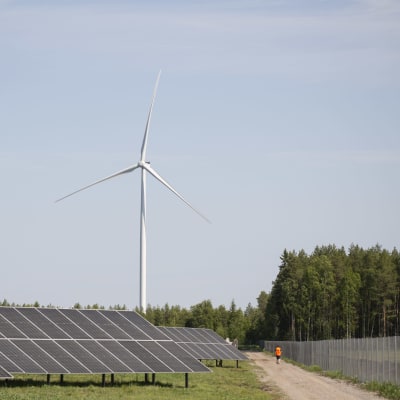 Aurinkopaneeleita aurinkopuistossa. Taustalla näkyy tuuliturbiini. Solarigo Systems Oy:n aurinkopuisto Kalajoella Pohjois-Pohjanmaalla.