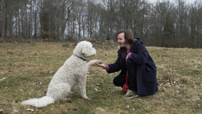 Gösta (Vilhelm Blomgren) försöker lära en hund att ge tass. 