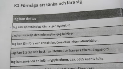 Elevbedömningsblanketten Helsingfors stad använder.