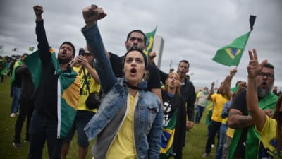 Demonstranter vifrar med Brasiliens flagga och höjer nävarna för att visa sitt stöd för president Jair Bolsonaro