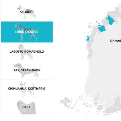 En karta som visar i vilka kommuner olika hundraser är populärast.
