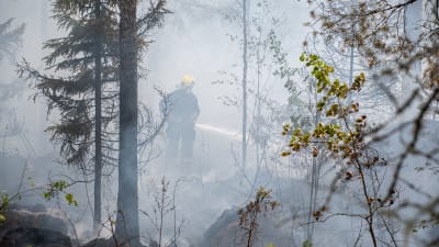 Brandman i ett moln av rök släcker skogsbrand. 
