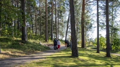 En grupp människor står i en backe, intill en minnessten omringade av tallar.