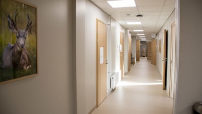 En korridor med flera dörrar i en vårdcentral.