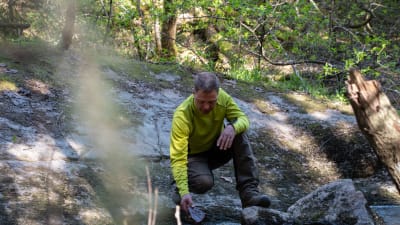 Sampo Vainio, fiskplanerare och iktyonom i förening vatten och luftvård för östra Nyland och Borgå å, i Sibbo storskogs nationalpark