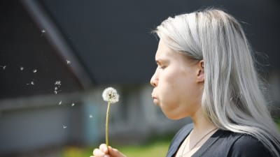Petra Olli blåser på en torkad smörblomma.