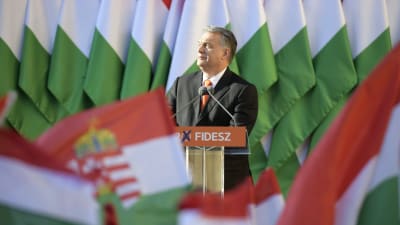 Viktor Orbán omringad av ungerska flaggor.