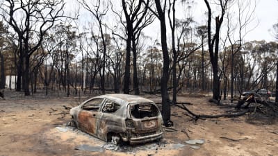 En bil som totalförstördes i bränderna i New South Wales. 