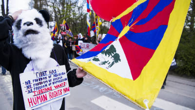 Under en demonstration håller en person i pandakostym en tibetansk flagga i handen.