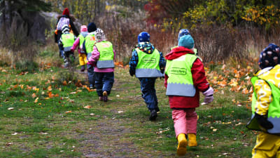 Alla barn i dagisgruppen Valhajarna springer på rad på en stig på Drumsö. Barnen har på sig reflexväst. Höstfärgade löv ligger på marken.