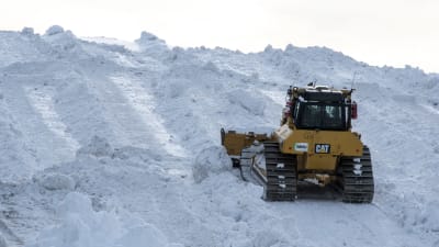 En bandtraktor skuffar upp snön på snötippen i Borgå.