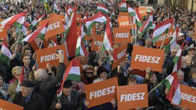 Fideszanhängare på kampanjmöte i partiledaren Viktor Orbáns födelsestad Székesfehérvár.