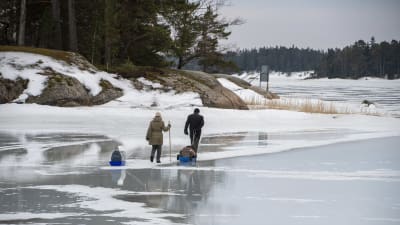 En kvinna och en man dra varsin kälke bakom sig och promenerar ut på den svaga isen utanför Gumbostrand.