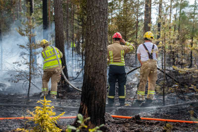 Tre brandmän släcker skogsbrand. 