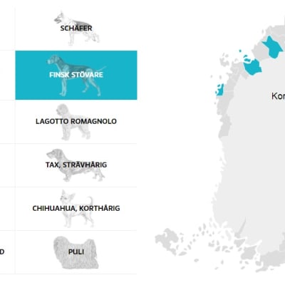 En karta som visar i vilka kommuner olika hundraser är populärast.