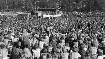 Ruisrocks publikhav 1971,
