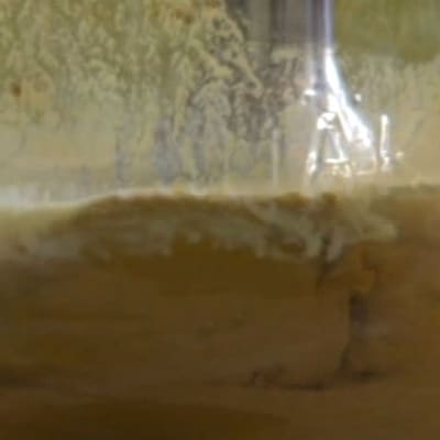 Mixa ihop äggoljetemperafärger.