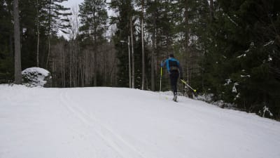 Skidspår på Öjberget i Sundom i Vasa.