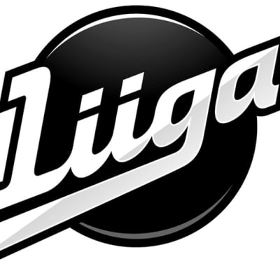 Liigan logo