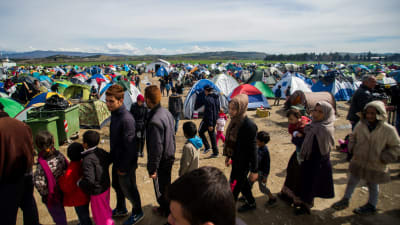 Flyktingläger i Grekland, nära gränsen mot Makedonien den 8 mars 2016.