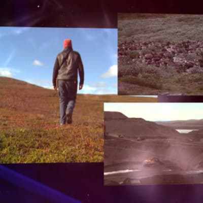 lappländska landskap och renar