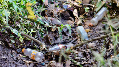 Tomma plastflaskor slängda i naturen i Kenya