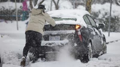 En person skuffar loss sin bil ur en snödriva i washington dc. 