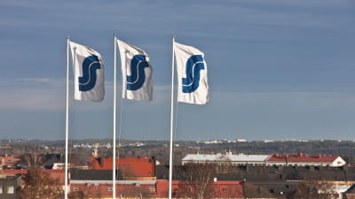 Flags with Finnish S-group logos.