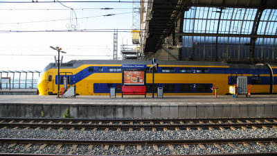 Ett tåg i gult och blått på Amsterdam Centraal.