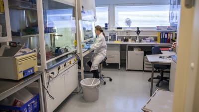 Eila Korhonen i ett laboratorium vid Östra Finlands universitet.