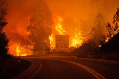 Skogsbrand i Leiriadistriktet i Portugal.
