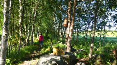 Två kvinnor går längs en naturstig.