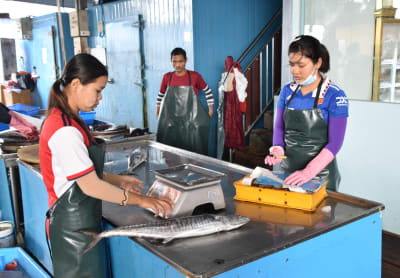 Kvinnor arbetar i en fiskhandel i malaysia.