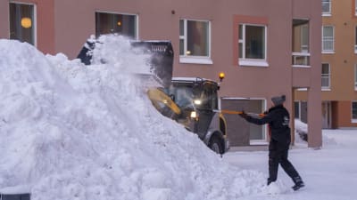 En hjullastare och en man skopar upp snö högre upp i en redan stor snöhög.